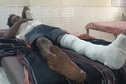 तेंदूपत्ता तोड़ने गए ग्रामीणों पर भालुओं का हमला, दो घायलपीडिया जंगल में दहशत